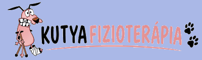 kutyafizioterapauta