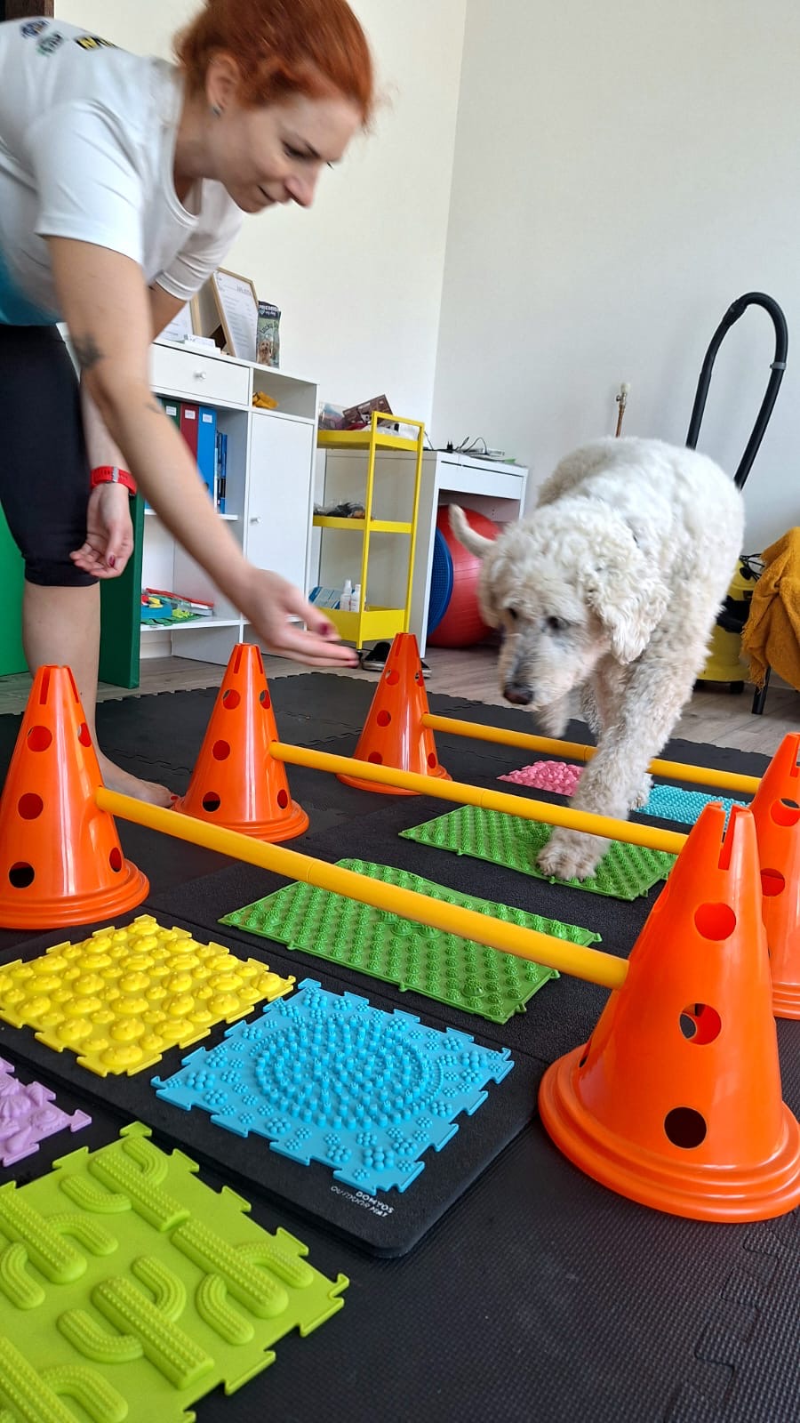 Aktív mozgásterápia