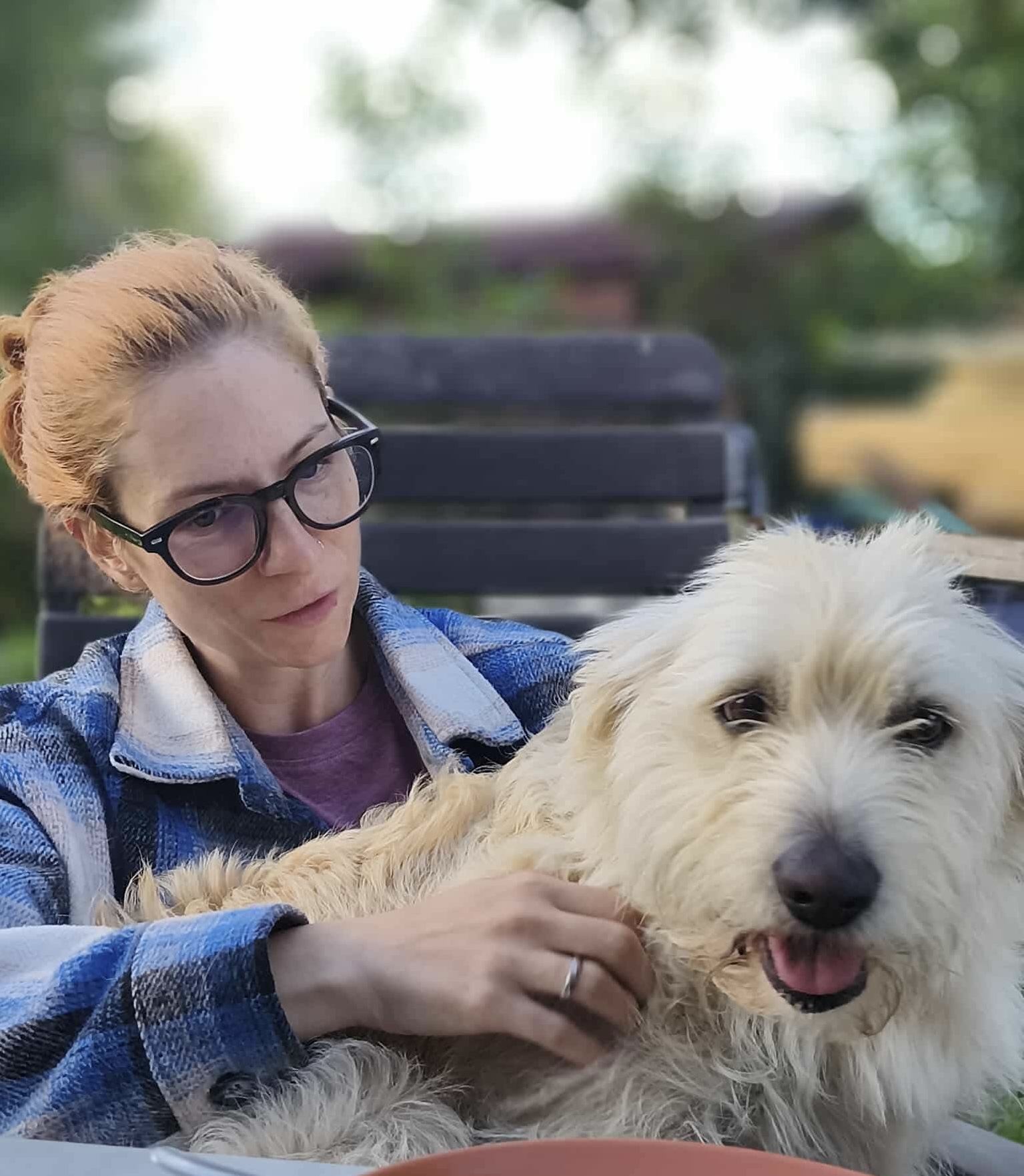 Molnár Kinga Kutya Fizioterapeuta