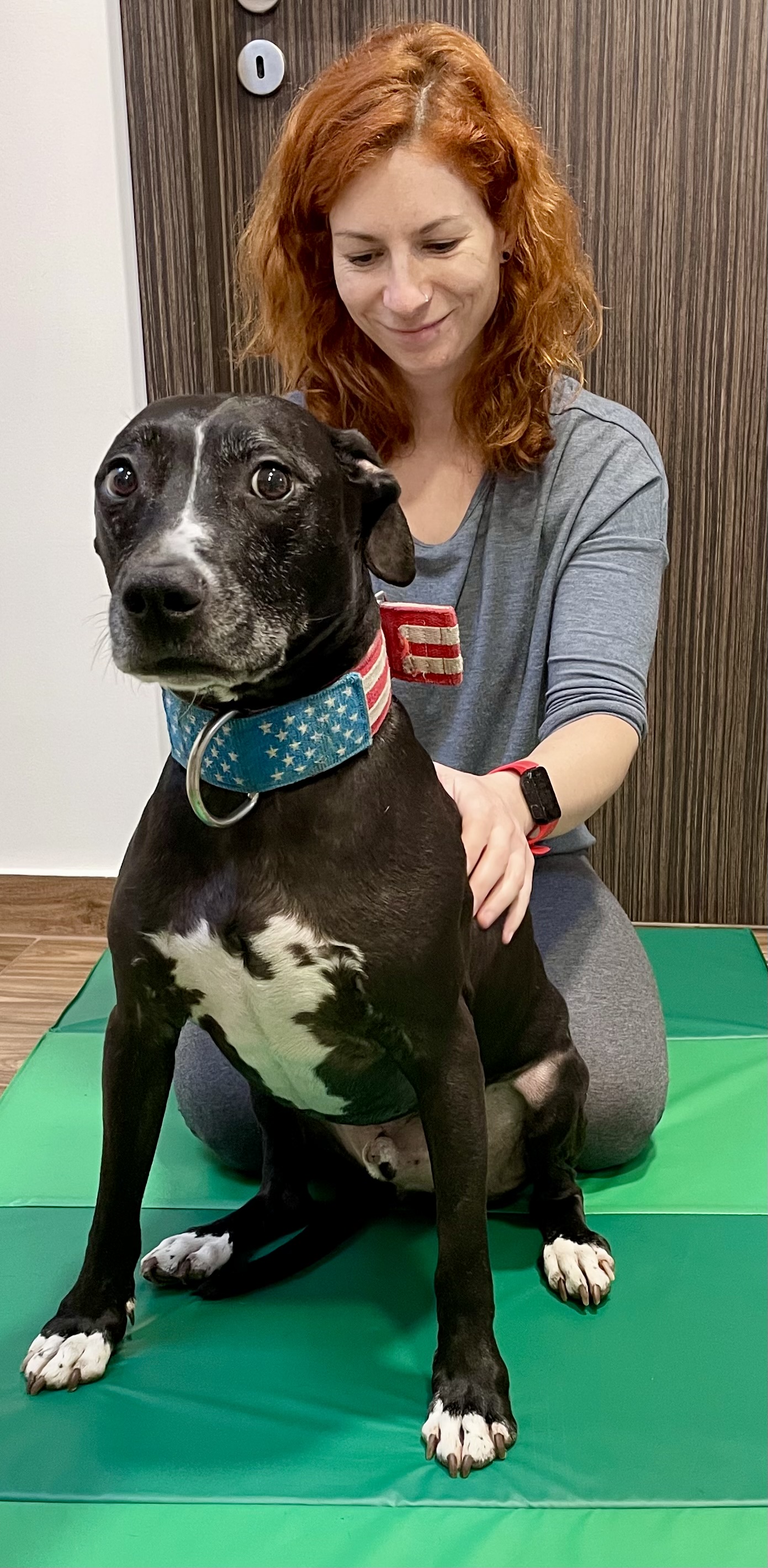 Nem érhető el leírás a fényképhez.