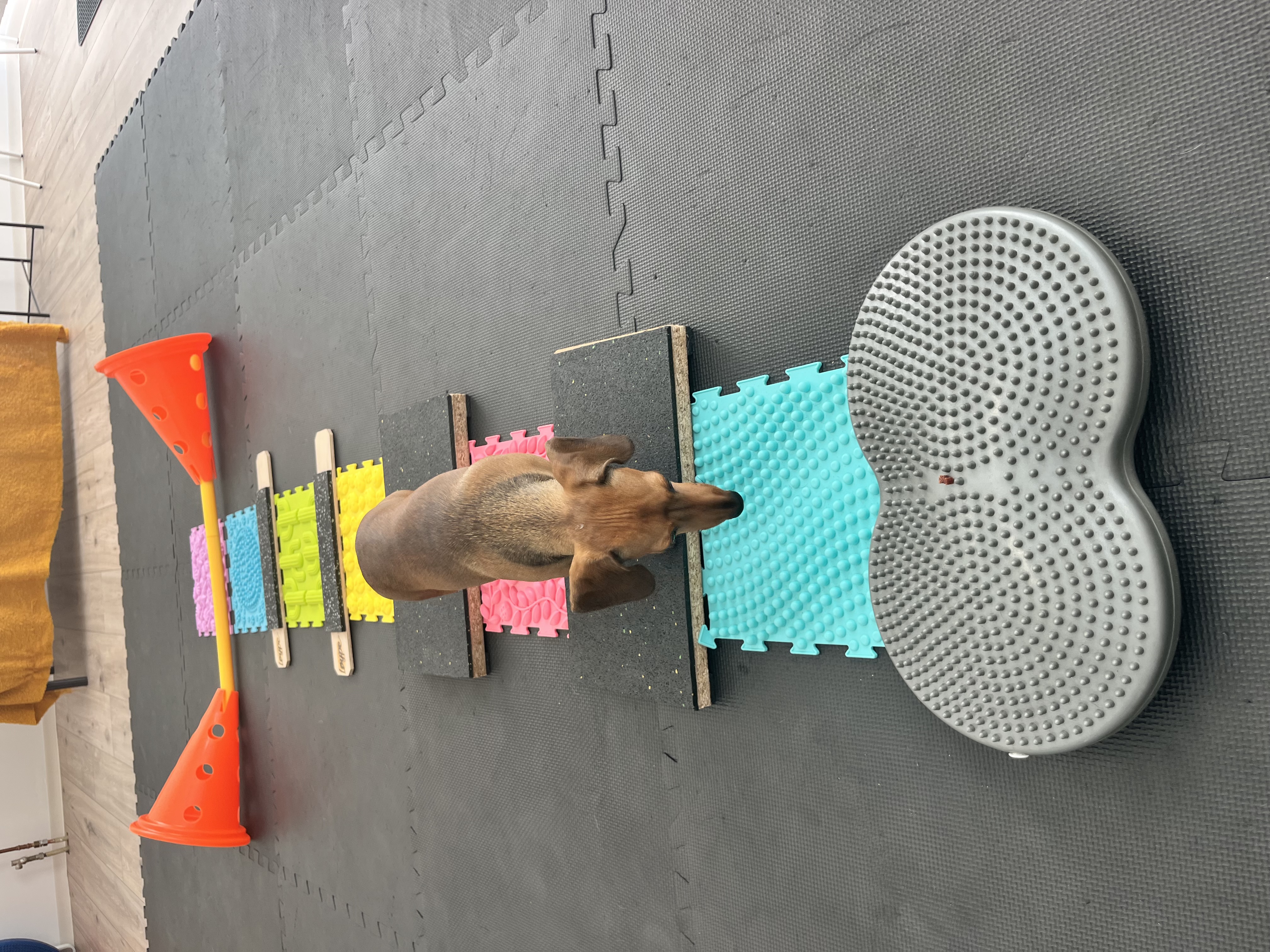 kuty aktív mozgásterápia