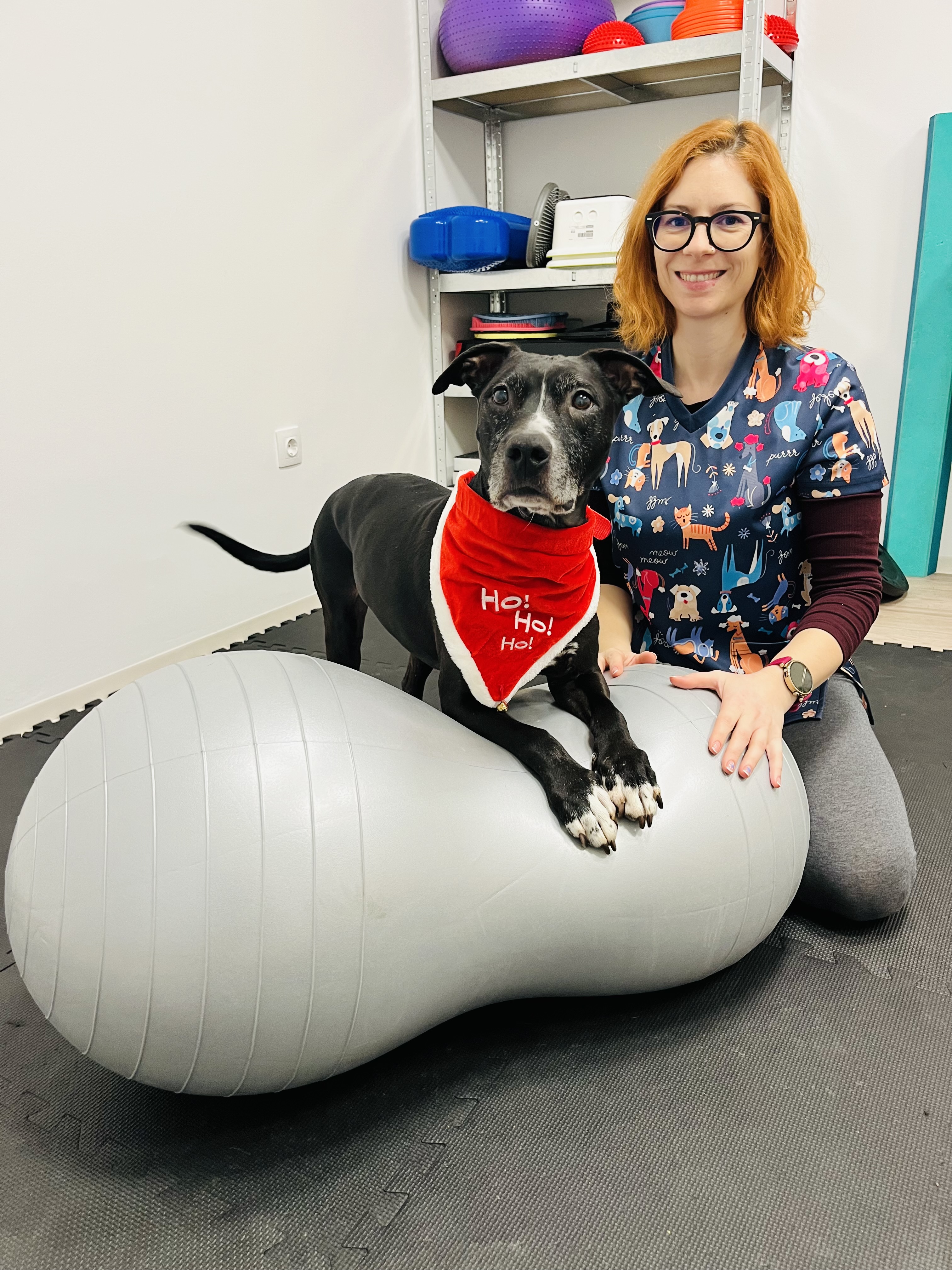 Molnár Kinga Fizioterapeuta